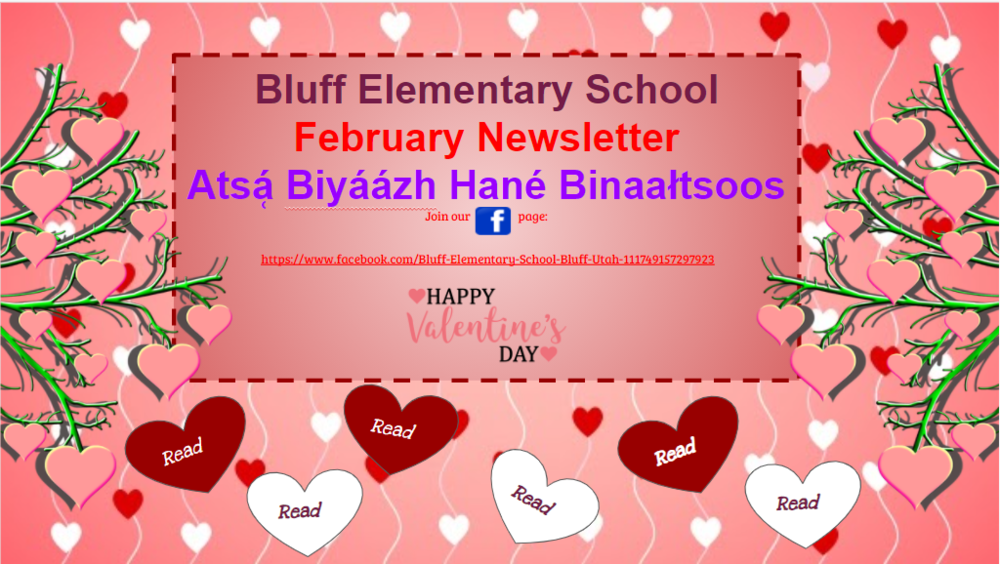 February Newsletter